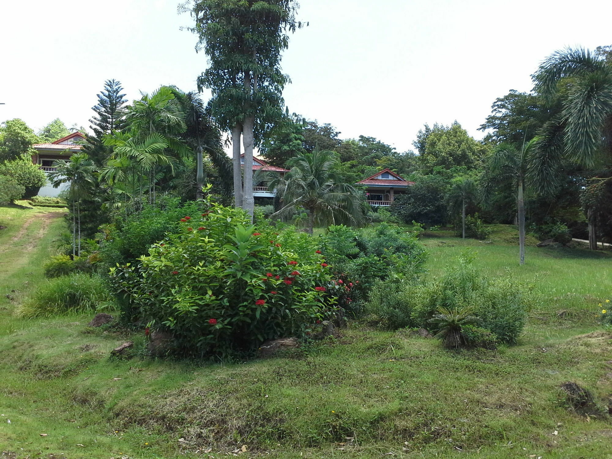 Freedom Estate Sea View Apartments Koh Lanta Exterior photo